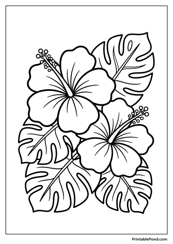 Two hibiscus flowers with large leaves, drawn with thick outlines for coloring.