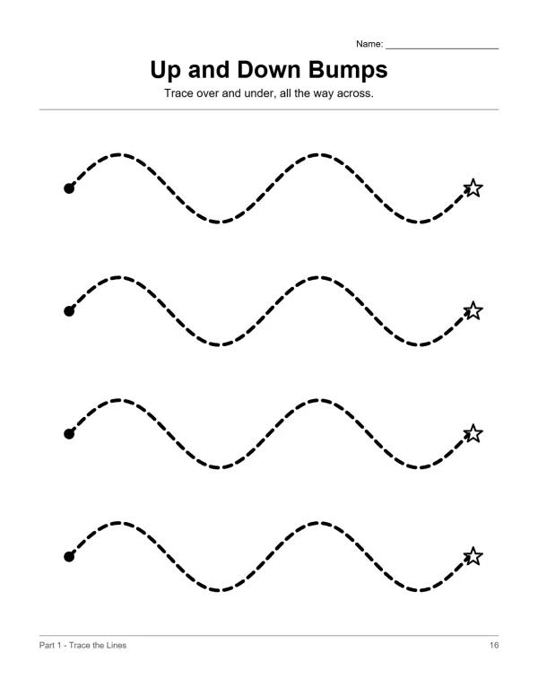 Four dashed wavy lines with a dot at the start and a star at the end of each line.