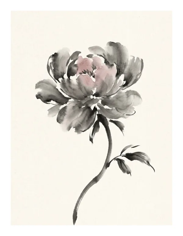 A single peony flower with delicate pink and grey ink wash petals on a cream background.
