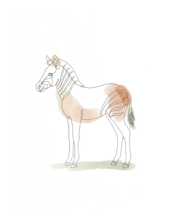 A minimalist line drawing of a zebra foal with soft watercolor accents on its body.