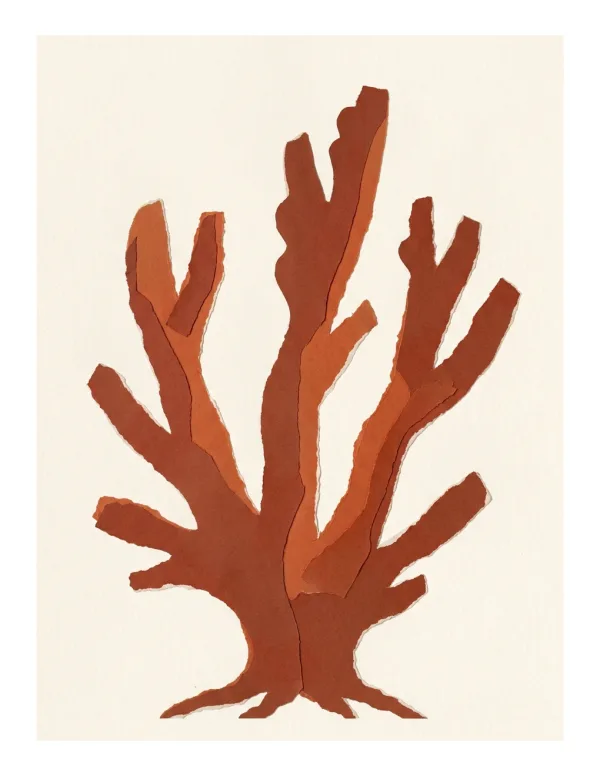 Abstract terracotta colored coral shape with torn paper edges against a cream background.