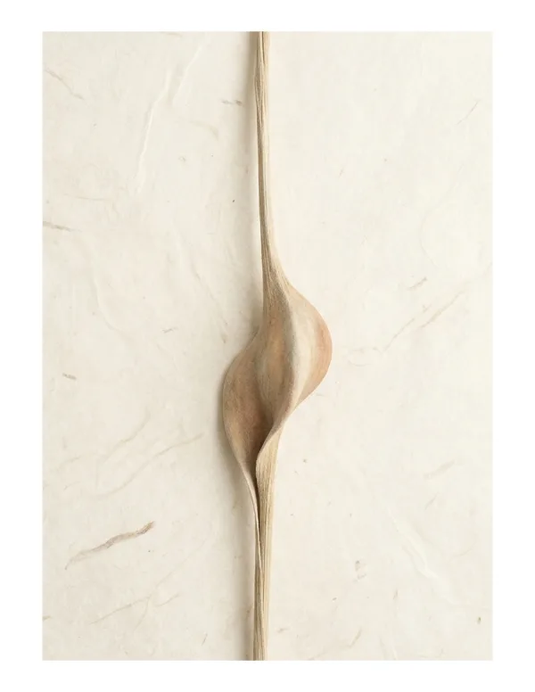 A single, long, slender stem with a subtle curve and bulbous center against a textured off-white background.