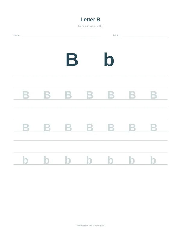 Tracing lines for uppercase and lowercase letter B on a white worksheet page.
