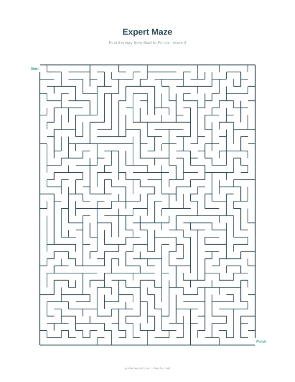 A complex maze with many paths and dead ends, labeled start and finish.