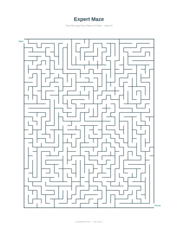 A complex maze with thin blue lines and a start and finish point labeled.