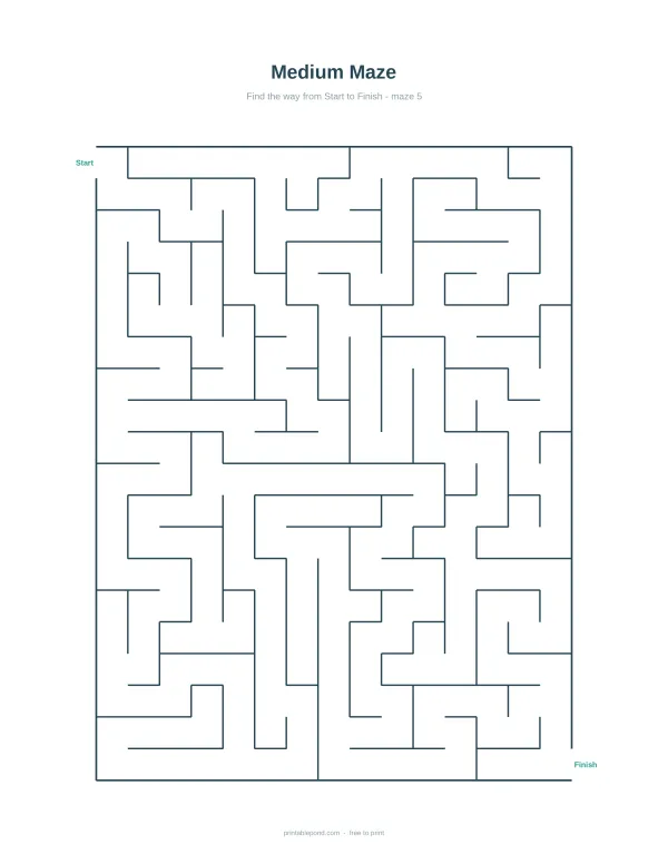 A maze worksheet with a single path from start to finish, labeled with dark blue lines.